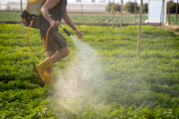 Best Flea Control Services  in La Grange Park, IL