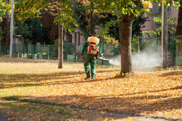 Spider Control Near Me in La Grange Park, IL