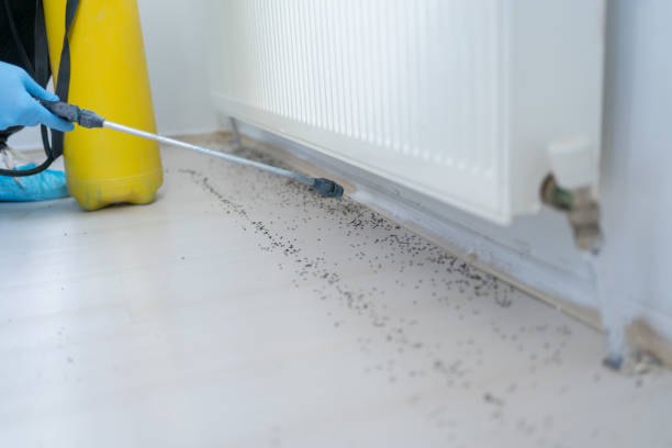 Best Bed Bug Extermination  in La Grange Park, IL