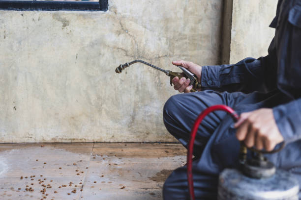Best Affordable Pest Control Services  in La Grange Park, IL